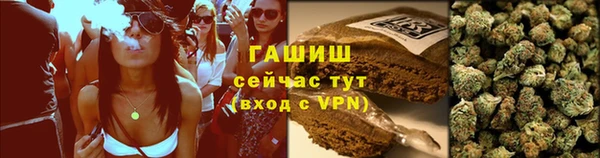 мяу мяу мука Лабытнанги