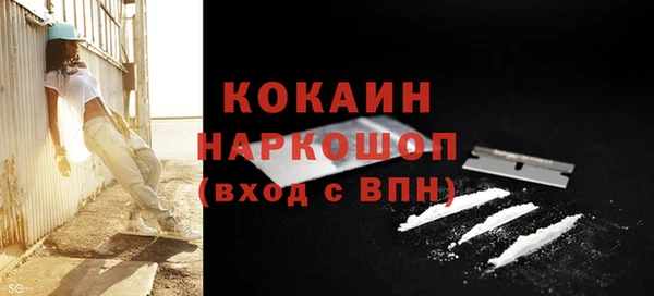 мяу мяу мука Лабытнанги
