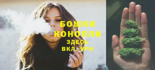 ПСИЛОЦИБИНОВЫЕ ГРИБЫ Куйбышев
