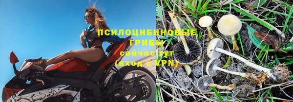 прущий лед Ладушкин