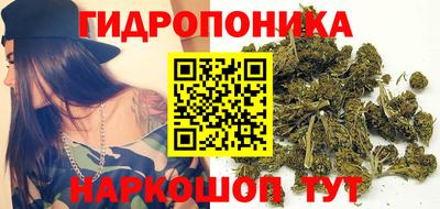 ECSTASY Гусев