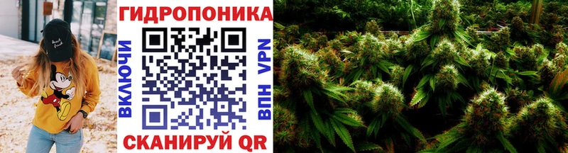 kraken маркетплейс купить Магнитогорск Шишки марихуана сатива